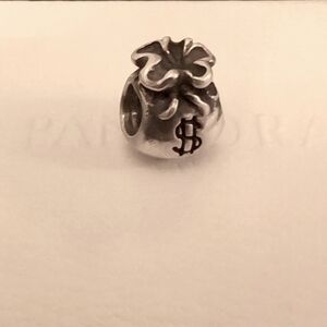 Pandora Money Bag charm